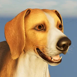 Beagle