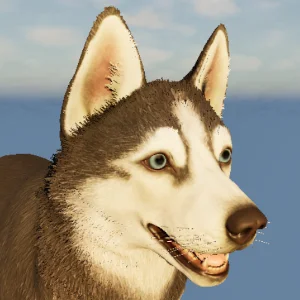 Husky