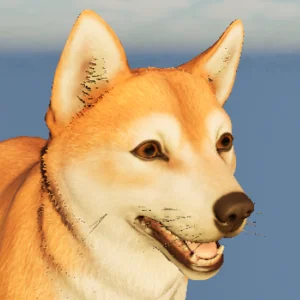 Shiba Inu